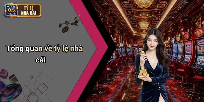 Tổng quan về tỷ lệ nhà cái