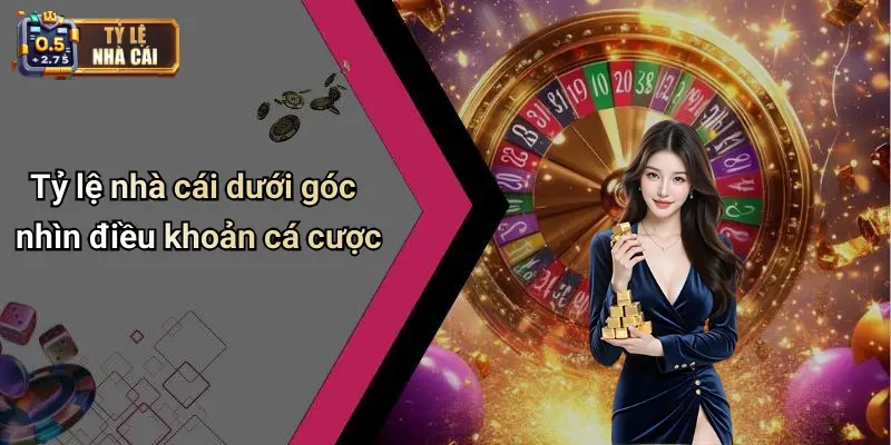 Tỷ lệ nhà cái dưới góc nhìn điều khoản cá cược