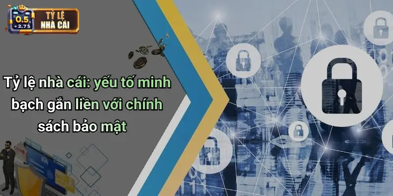 Tỷ lệ nhà cái: yếu tố minh bạch gắn liền với chính sách bảo mật