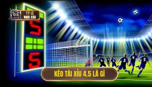 Kèo tài xỉu 4.5 là gì