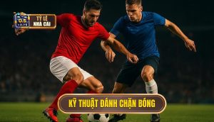Kỹ thuật đánh chặn bóng
