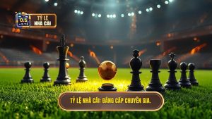 Tỷ Lệ Nhà Cái_ Đẳng cấp chuyên gia.